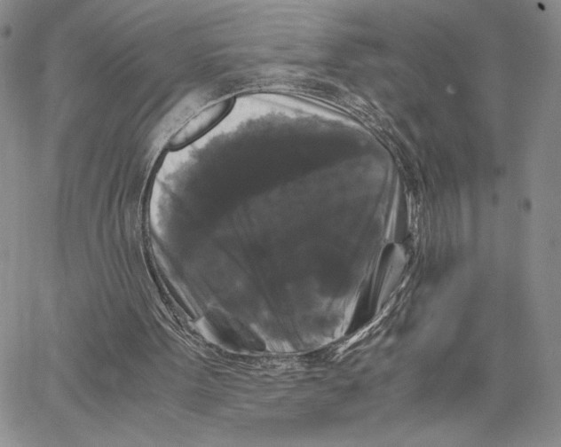 X0000062830099200602031547