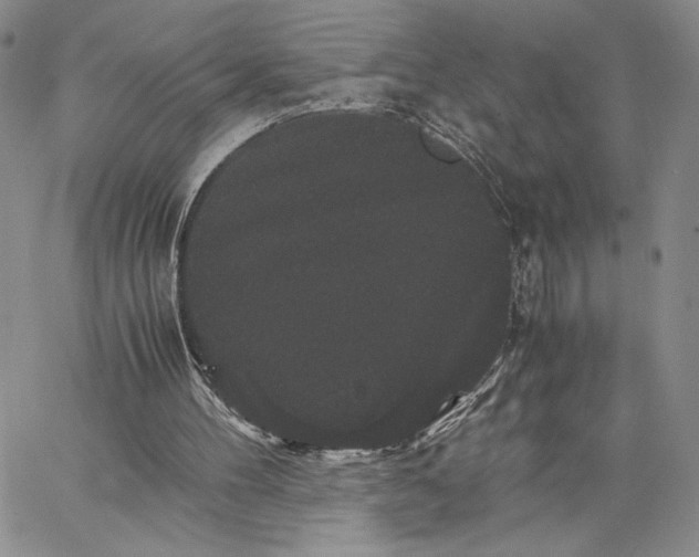 X0000062830100200602031547