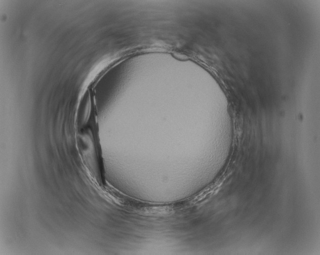 X0000062830102200602031547
