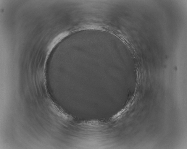 X0000062830104200602031547