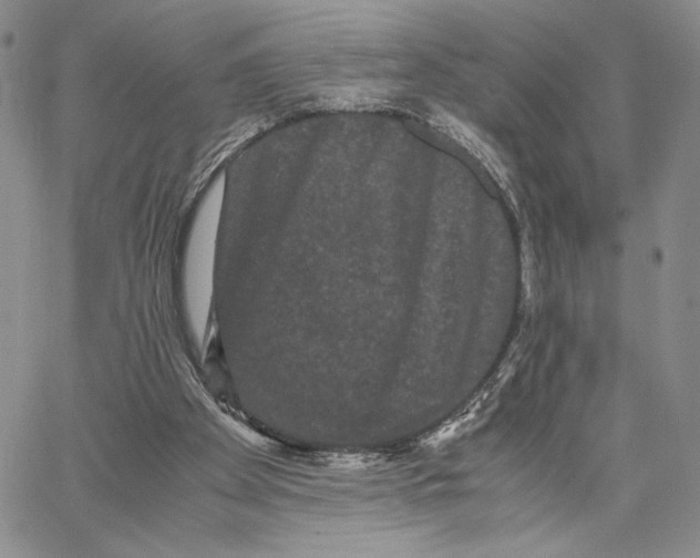 X0000062830105200602031547