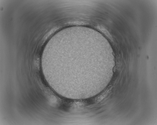 X0000062830111200602031547