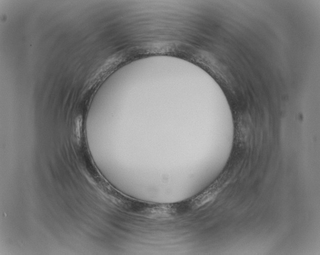 X0000062830118200602031547