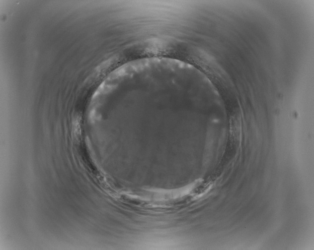 X0000062830127200602031546