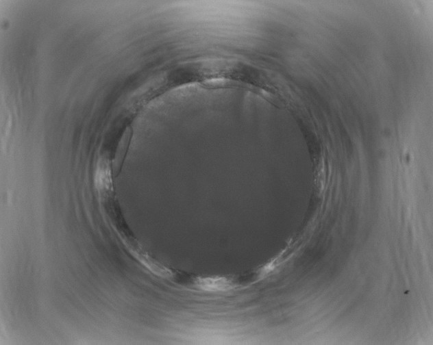 X0000062830137200602031546