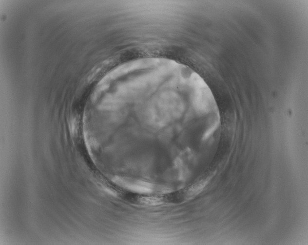 X0000062830139200602031546