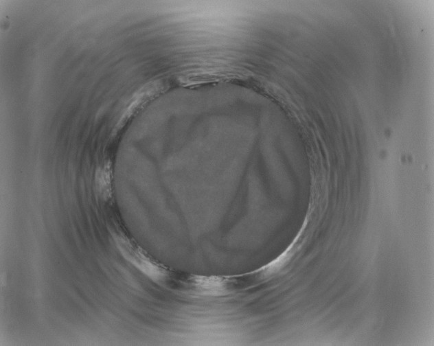X0000062830144200602031546