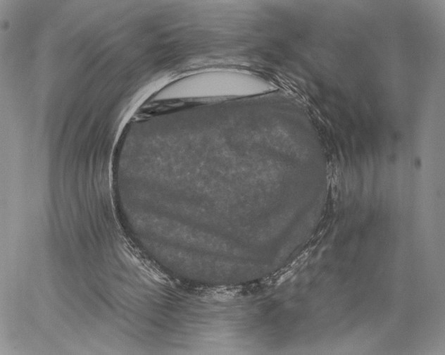 X0000062830148200602031545