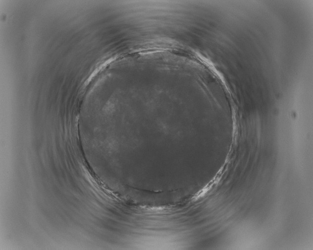 X0000062830154200602031546