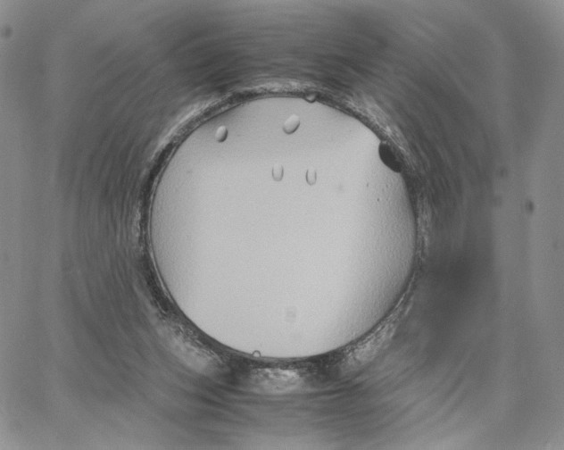 X0000062830159200602031546