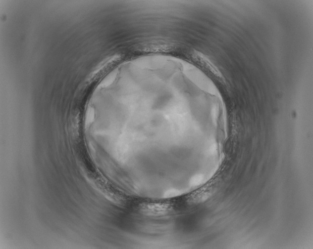 X0000062830163200602031546