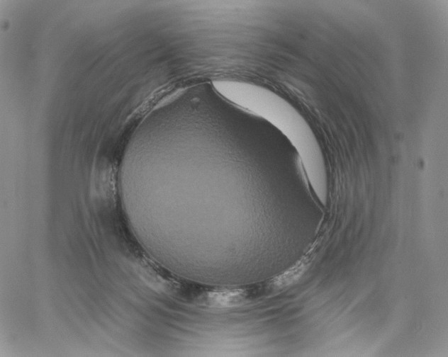 X0000062830172200602031546