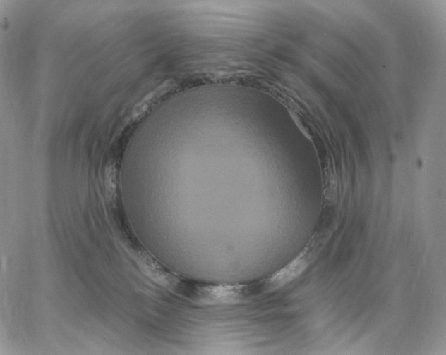 X0000062830184200602031546