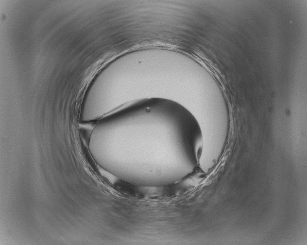 X0000062830193200602031545