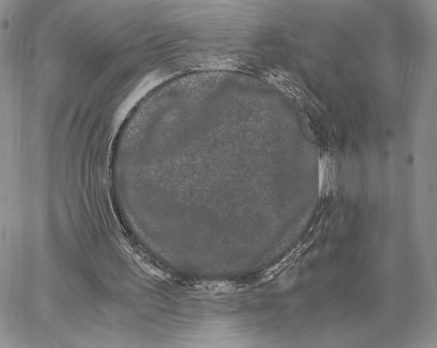 X0000062830195200602031545