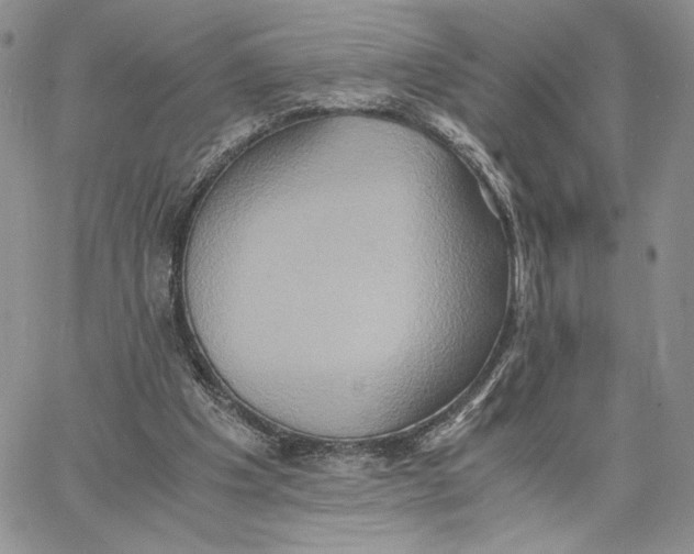 X0000062830201200602031545
