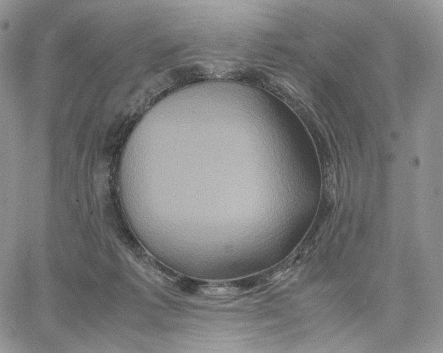 X0000062830221200602031545