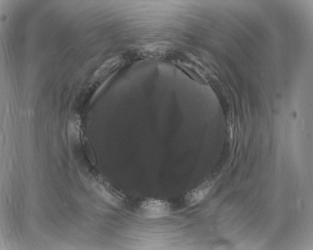 X0000062830231200602031545