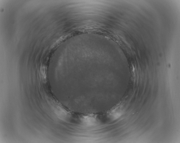 X0000062830232200602031545