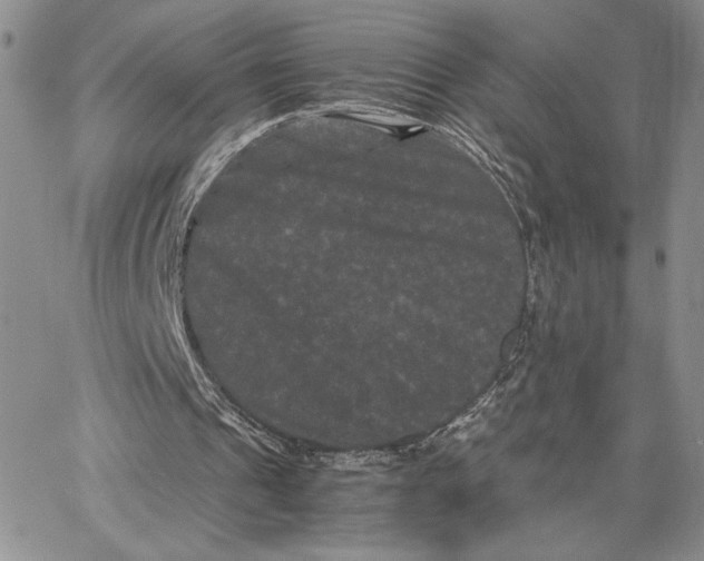 X0000062830241200602031544