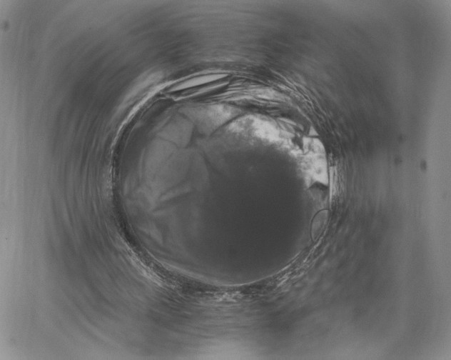 X0000062830243200602031544