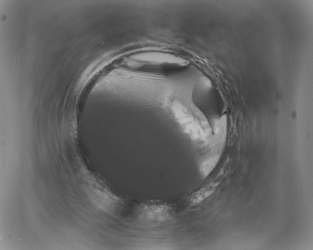 X0000062830247200602031544