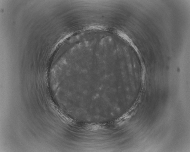 X0000062830249200602031544