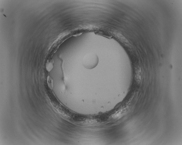X0000062830256200602031544