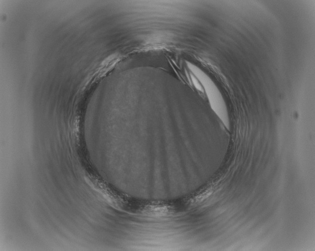 X0000062830260200602031544