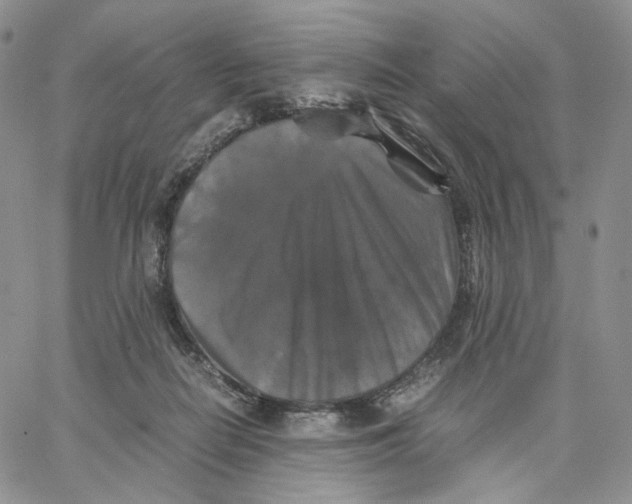 X0000062830266200602031544
