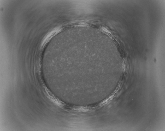 X0000062830293200602031544