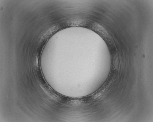 X0000062830310200602031544