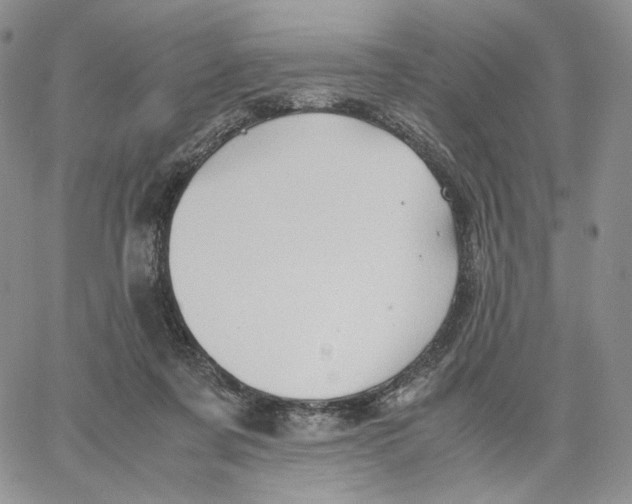 X0000062830311200602031544