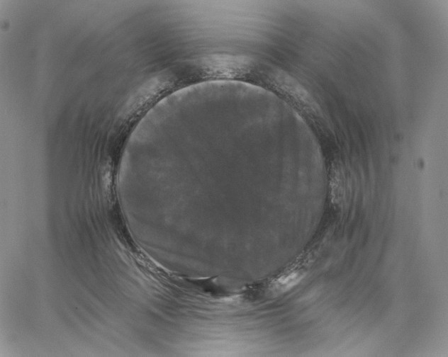 X0000062830314200602031543
