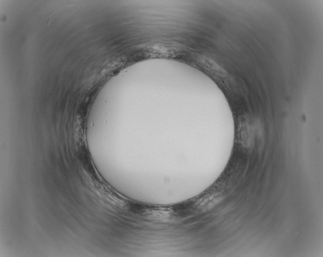 X0000062830318200602031543