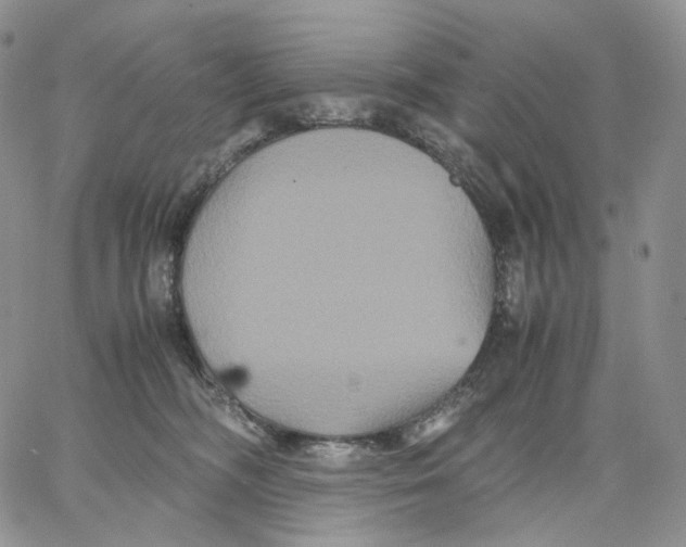 X0000062830326200602031543