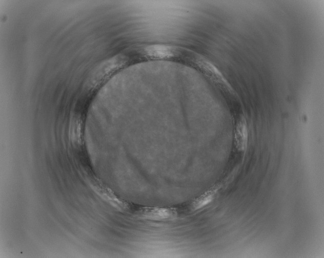 X0000062830330200602031543
