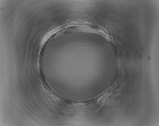 X0000062830340200602031542