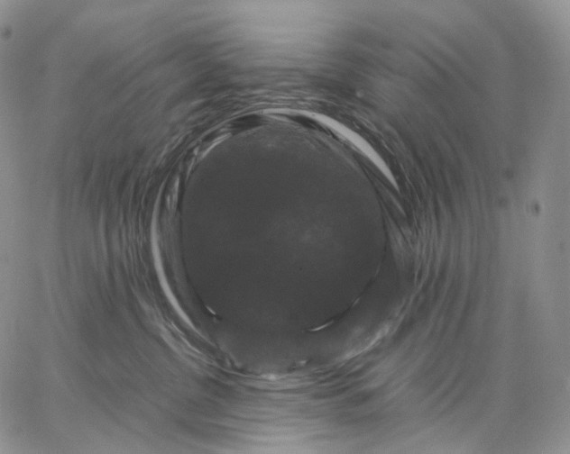 X0000062830380200602031543