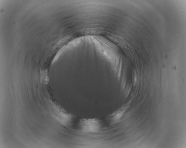 X0000062830383200602031543