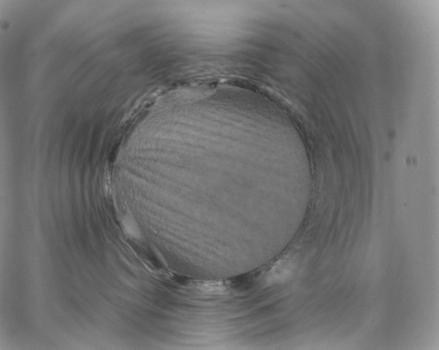 X0000062830384200602031543