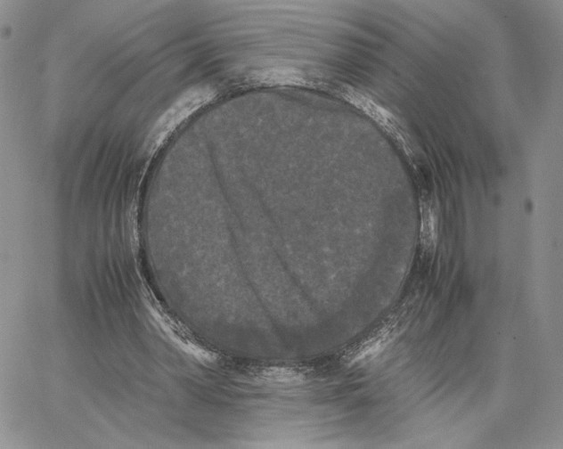 X0000062830390200602031542