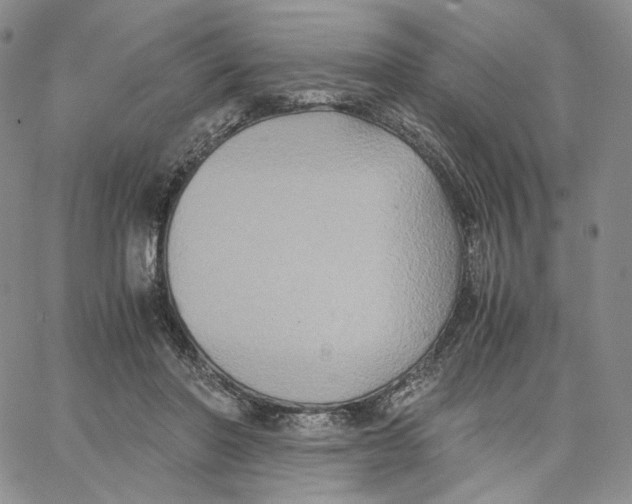 X0000062830406200602031542