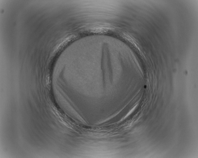 X0000062830407200602031542