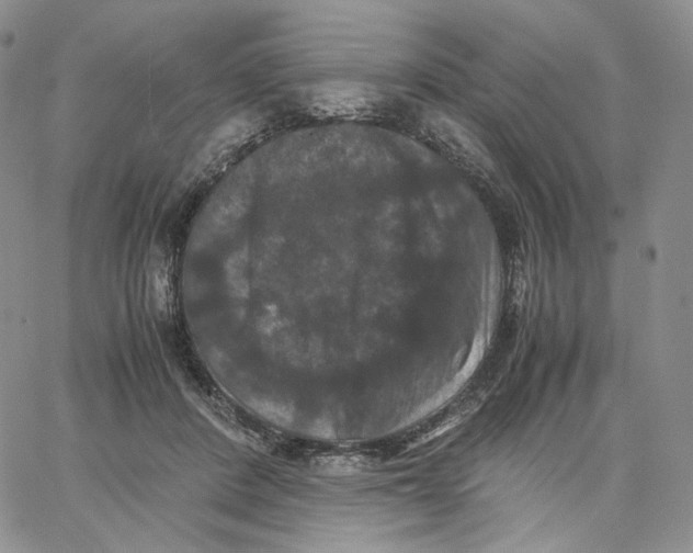 X0000062830408200602031542