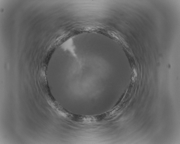 X0000062830415200602031542