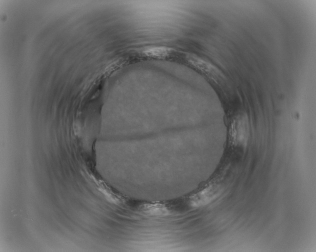 X0000062830424200602031542