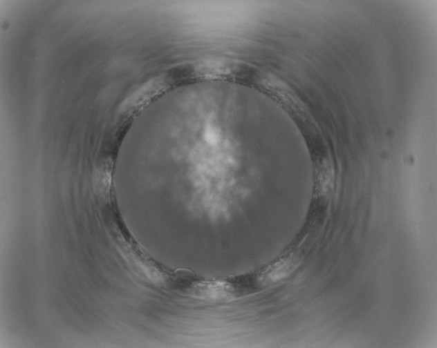 X0000062830427200602031542