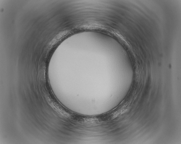 X0000062830446200602031541