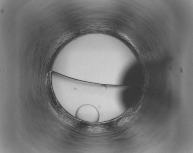 X0000062830451200602031541